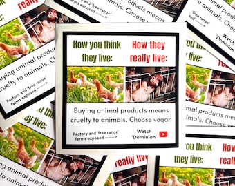 How you think they live vs how they really live vegan activism stickers - chickens- waterproof