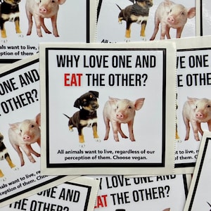Puede incluir: Una pegatina con un perro blanco y negro y un cerdo rosa. La pegatina dice "¿Por qué amar a uno y comer al otro?" en texto negro con "comer" en rojo. La pegatina también dice "Todos los animales quieren vivir, independientemente de nuestra percepción de ellos. Elige vegano."