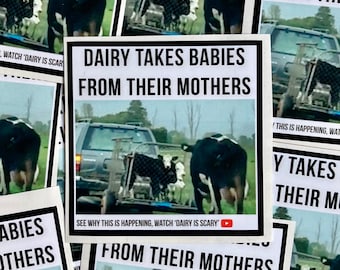 Dairy takes babies from their mothers vegan activism stickers- design 1 of 3