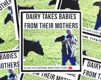 Dairy takes babies from their mothers vegan activism stickers- design 3 of 3