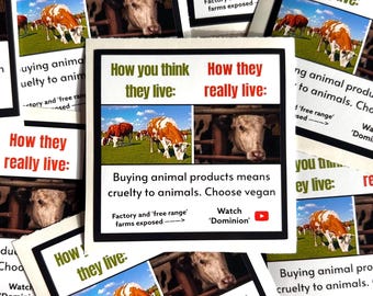 How you think they live vs how they really live vegan activism stickers - cows- waterproof