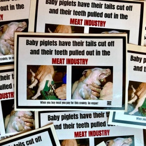 Baby piglets in the meat industry vegan activism stickers - waterproof