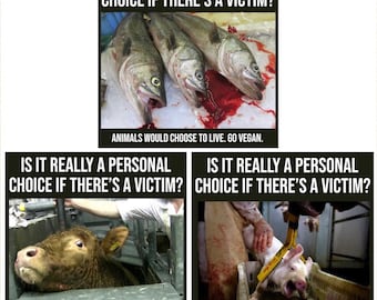 Is it a personal choice MIXED PACK vegan activism stickers ||