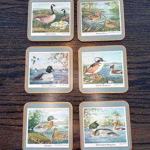 Vintage Canadian Wildfowl Coasters Set: Nature Bird Art, Scientific Names