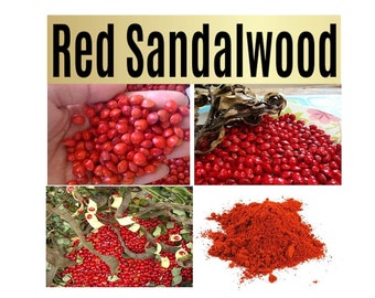 Red Sandalwood Plant Seeds - Lal Chandan Seeds, Good Quality Seeds for Plant