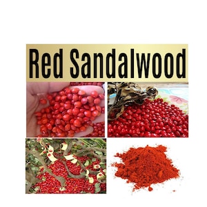Red Sandalwood Plant Seeds - Lal Chandan Seeds, Good Quality Seeds for Plant