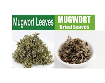 Organic Mugwort Leaves, Mugwort Leaves (Dried), Nagadamani Patte, Artemisia Vulgaris, Mugwort Dried Herb, Organic Mugwort, Dried Mugwort