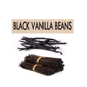 Grade A Bourbon Vanilla Beans Vanilla Beans dry Vanilla Beans Black Tahitian Vanilla Bean, Madagascar Bourbon Vanilla Pods Beans