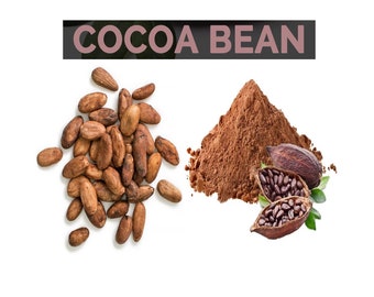 Cacao Theobroma, cacao Theobroma biologique, fèves de cacao biologiques, fèves de cacao, graines entières, poudre de fèves de cacao