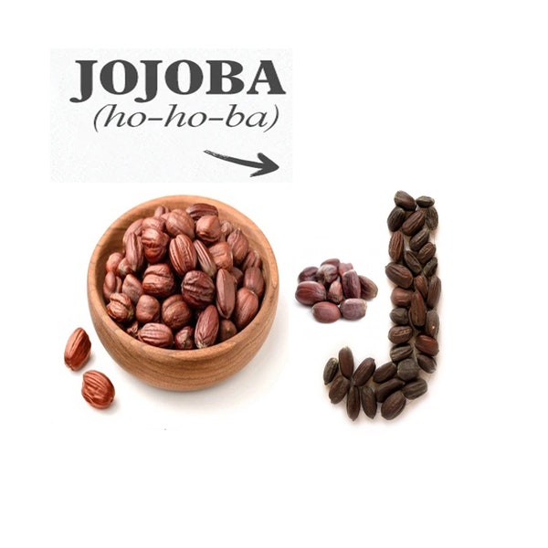 Organic Jojoba Seed, Natural Jojoba Seed, Jojoba Seed