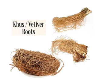 Organic Vetiver Root - Natural organic Herb - Chrysopogon zizanioides - Khus Khus - Dry Root - Vetiveria Zizanioides - Khas khas Jad