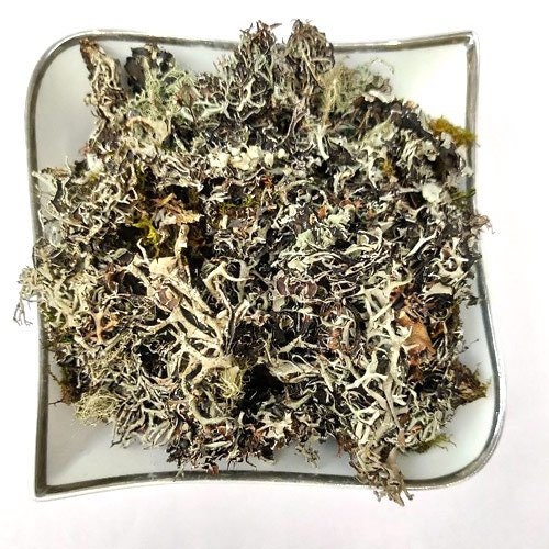 Indian Dagad Flower, Natural Stone Flower, Organic Dagad Phool, Whole ...