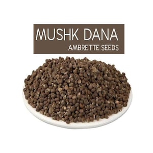 Musk Ambrette, Whole Dried  Ambrette Seeds, Abelmoschus Moschatus, Organic Ambrette Seeds, Natural Ambrette Seeds, Mushk Dana