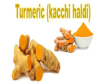 Kachchi Haldi | Turmeric Roots | Taaja Pasupu | Pachamanjal | Kachi Haldi | Organic Turmeric Roots | Turmeric Whole | Turmeric Powder