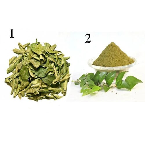 Natural Curry Leaves Curry Leaves Powder Curry Leaves Etsy