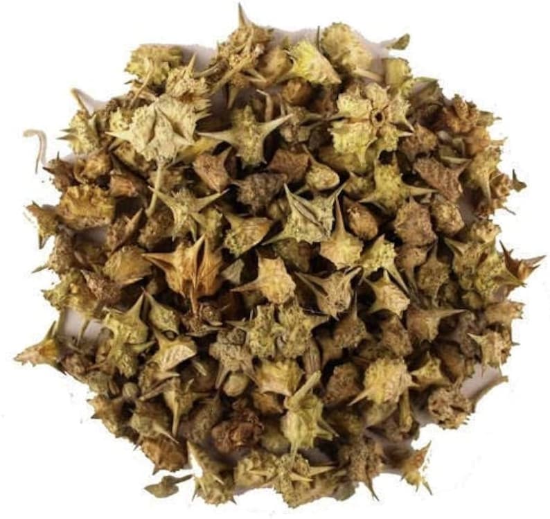 May include: A pile of dried, brown, spiky, star-shaped plants. The plants have a rough texture and are arranged in a random pattern.