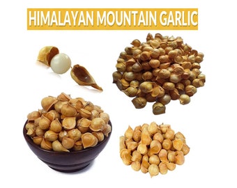 Pahadi Lahsun,Himalayan Lahsun,Kashmiri Garlic,One Clove Garlic,Kashmir Natural Organic Garlic, Allium sativum,Japanese Garlic (Ajo Japones)