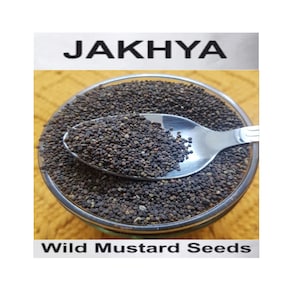 Semilla de Jakhya orgánica, Mostaza salvaje, Jakhya del Himalaya, Viscosa Cleome, Semillas de Jakhiya Negras Pahadi, Semillas Naturales, Especias Orgánicas, Semillas de Hierbas