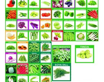 45 type vegetable 2670 seeds 100% Pure Indian Organic Seeds for your garden