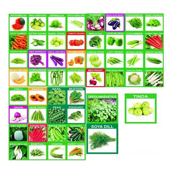 Indian Vegetable Seeds Etsy