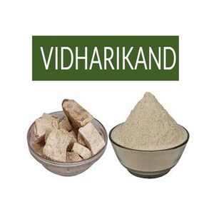 Vidarikand, Vidharikand, Bidharkand, Puerariatuberosa, Indian Kudzu, Vidarikand Powder, Organic Vidarikand, Organic Vidarikand Powder