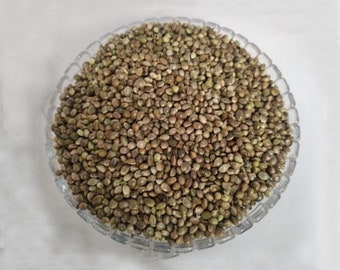 Semilla de cáñamo - Semilla de cáñamo orgánica - 100% pura original - Calidad premium