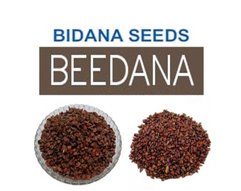 Indian Quince Seeds, Beedana, Bee Dana, Cydonia Seeds, Dried Beedana, Bidana Seeds, Pyrus Cydonia, Quince Seeds, Behi Dana, Safarjal