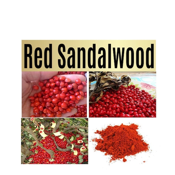 Red Sandalwood Plant Seeds - Lal Chandan Seeds, Good Quality Seeds for Plant  - Etsy Denmark