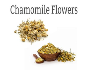 Tysk kamomillblomma, Matricaria recutita, kamomillblomma, kamomillblomste, Babune Ka Phool