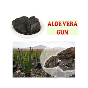 May include: Close-up of dark brown aloe vera gum in a white bowl. The gum is a solid, resinous substance. The image also shows a field of aloe vera plants growing in the desert.