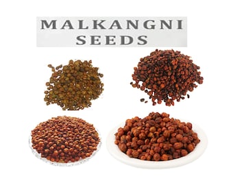 Malkangani Powder, Malkangani Seed, Celastrus Paniculatus, Jyotishmati Seeds, Malkangani Seeds, Staff tree, Celastrus Paniculatus Seeds