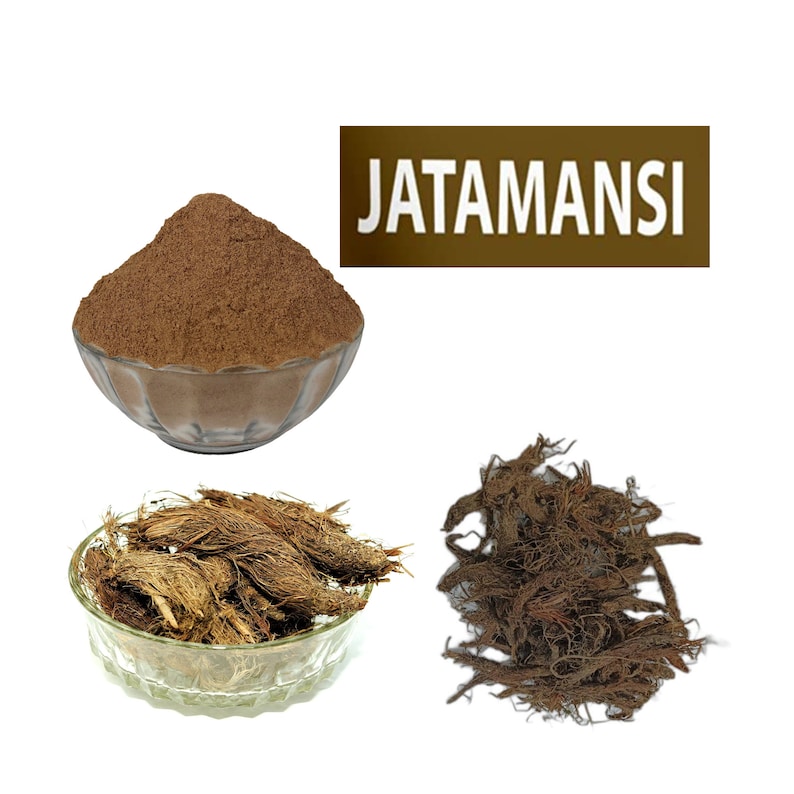 Nardus Jatamansi Root,natural Jatamansi Powder,balchar,nardostachys ...