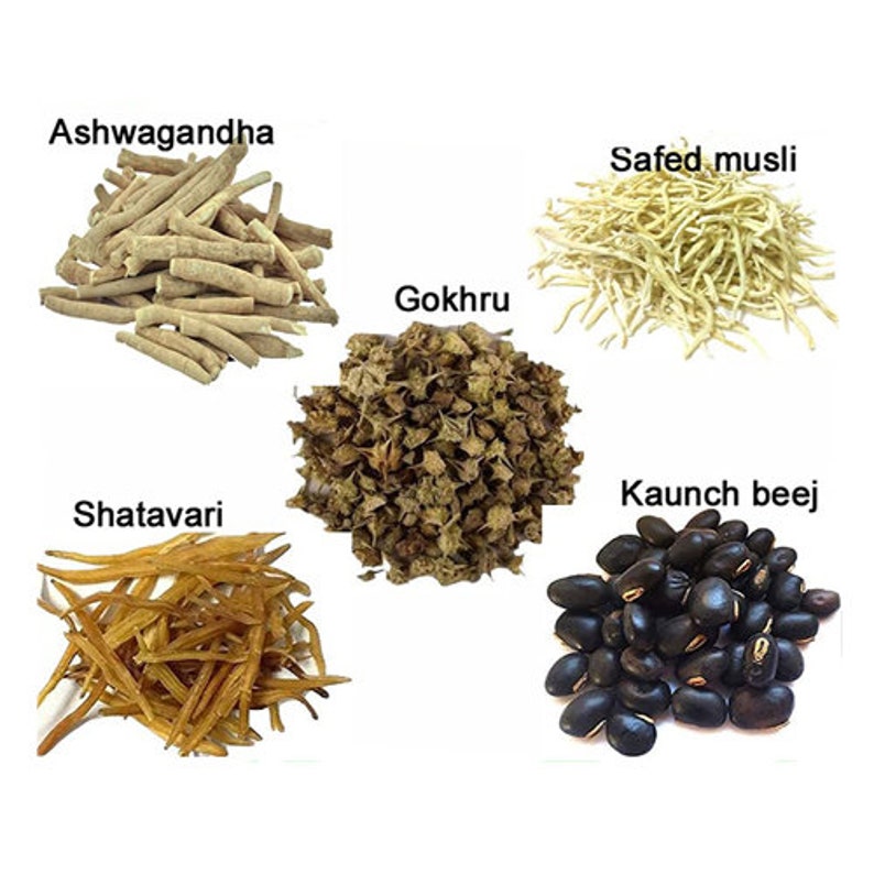 May include: A collection of six different dried herbs and seeds used in traditional Indian medicine. The herbs are labeled Ashwagandha, Safed musli, Gokhru, Shatavari, and Kaunch beej.
