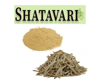 Organic Shatavari, Wild Asparagus, Shatawar, Shatavari Root-Powder,Asparagus Racemosus,Thaneer Vittan Kilangu Ver, Thaneervittan Kilangu