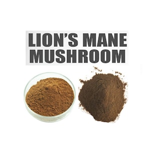 Organic Lion's Mane Mushroom Powder, Hericium Erinaceus, Mushrooms Blend Powder, Lion's Mane Mushroom Extract Powder, Mane Mushroom Powder
