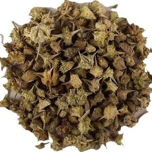 May include: A close-up image of a pile of dried, spiky, star-shaped plant parts. The color palette is dominated by shades of brown and tan, with some hints of green. The texture appears rough and dry, suggesting a natural product.