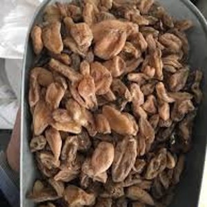 Salam Mishri, Salam Mishri Powder, Salab Misri Churna Whole and Powder