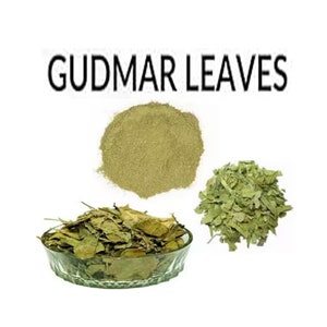 Dried Gudmar Leaves, Gymnema Sylvestre Folia, Gymnema Sylvestre Leaves, GYMNEMA Leaf ORGANIC Bulk Herb, Gymnema Sylvestre, Gymnema Leaf