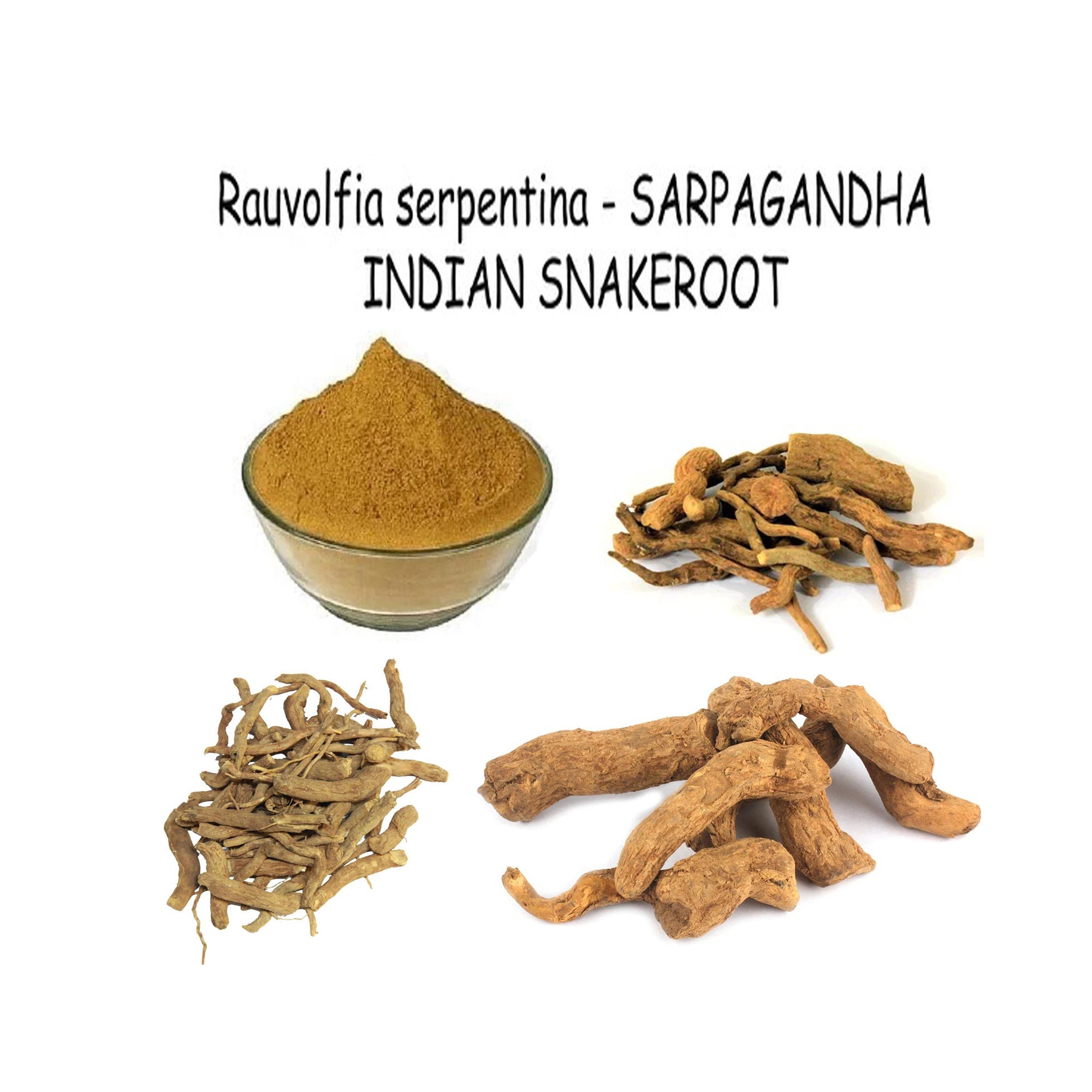 Poudre De Sarpagandha (Rauwolfia Serpentina) - 60g à 1kg Bio Ayurvedic - Expiration Avril 2028+