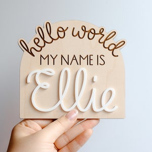 Hello World My Name Is Baby Name Bekanntgabe Zeichen - Hello My Name Is Zeichen - Fresh 48 Photo Prop - Babyshower Geschenk für die neue Mutter
