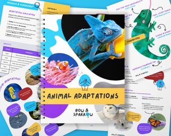 Animal Adaptations Unit Study – NGSS Curriculum-Aligned Lesson Workbook for Classroom, Homeschool, or Science Enrichment