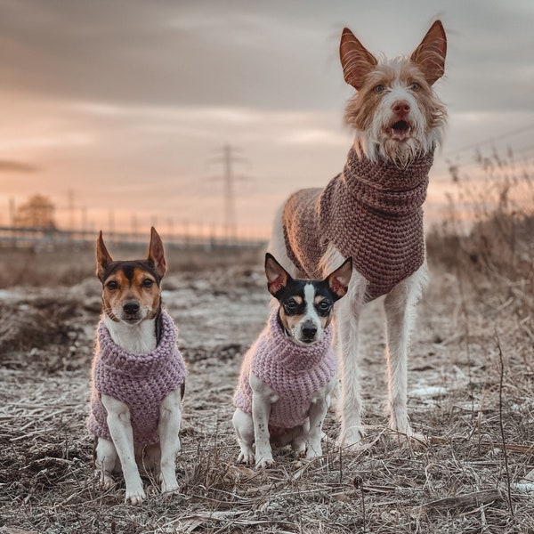 Hundepullover nach Maß | Modell "Frieda"