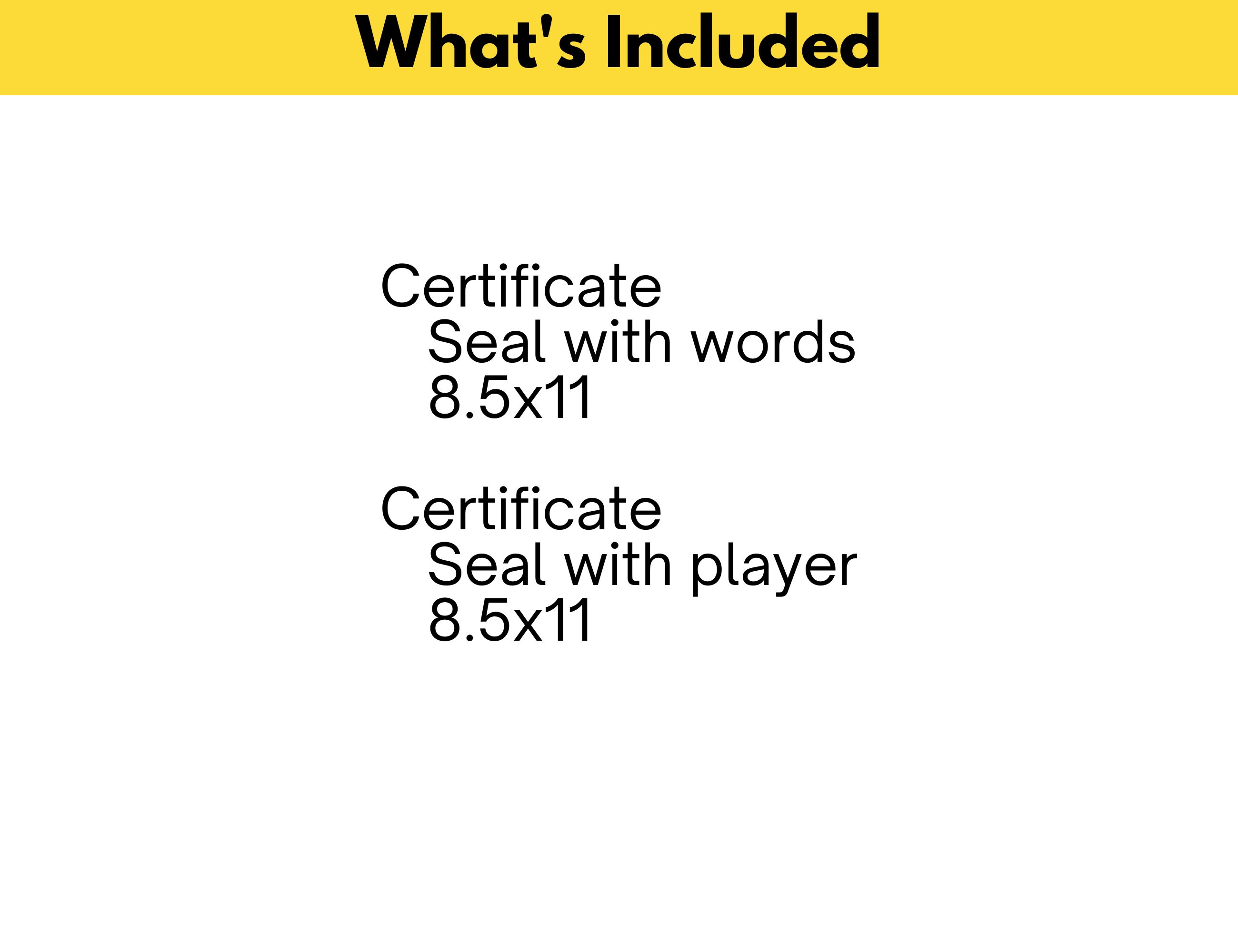 Volleyball Certificate Template for Volleyball Awards, Editable