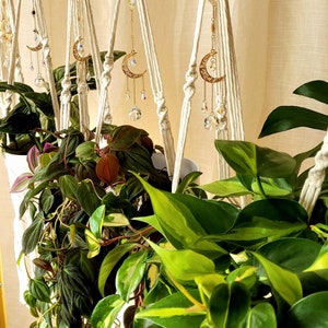 Suspension bohème en macramé avec pendentif de lune dorée et capteur de soleil scintillant, Support pour plante enchantée,Jardinière macrame