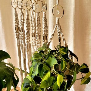 May include: A series of off-white macrame plant hangers featuring twisted cord patterns, gold-toned metal rings, and clear faceted crystal accents. Each hanger supports a potted plant with variegated green and yellow heart-shaped leaves.