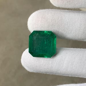 May include: A vibrant, emerald-cut emerald gemstone. The gem is a deep, rich green color and has a rectangular shape with beveled edges. The stone is held by a white gloved hand.