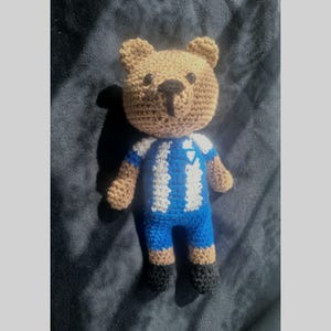 Crochet Brighton & Hove Albion FC Teddy Bear, Football Gift