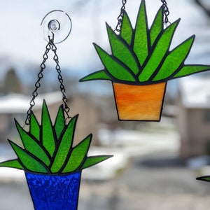 Agave - Customizable