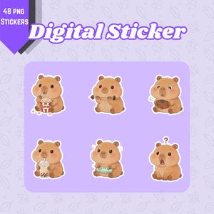 Capybara Digitala klistermärken PNG | Planer Journal Transparenta filer för GoodNotes Procreate Notion