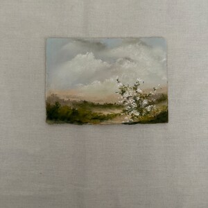 Wild flowers